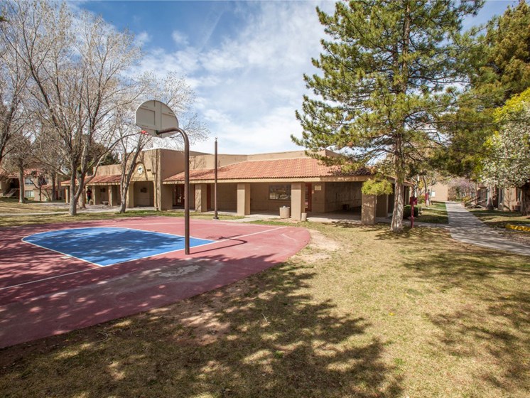 Community Basketball Court at Cinnamon Tree Apartments in Albuquerque, MN